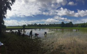 Viajar a Camboya con niños