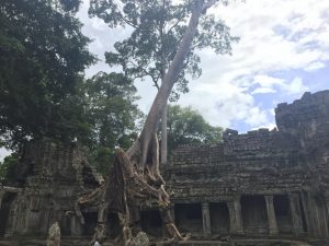Viajar a Camboya con niños