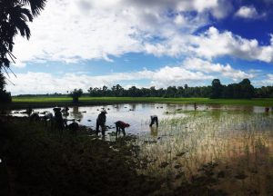 Viajar a Camboya con niños