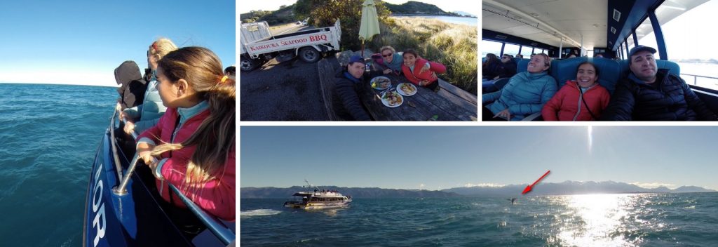 Ballenas en Kaikoura